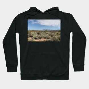 McDowell Mountain Regional Park Hoodie